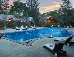 paddington-resort-in-coorg-outdoor-swimming-pool